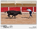 316-1620 x 1080---16L Camargue_2822